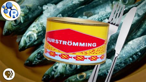 the smelliest fish in the world|Surströmming: The Swedish Stinky Fish Delicacy